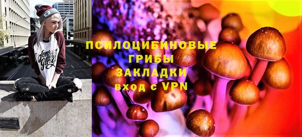 дмт Арсеньев