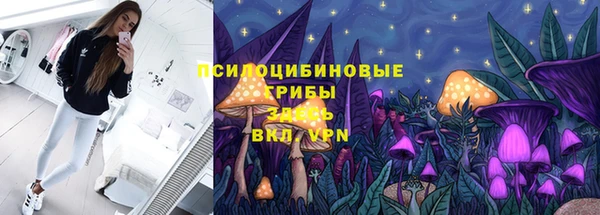 дмт Арсеньев